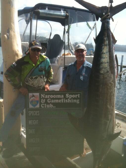 MARLIN: Some anglers  that took out category awards were Glenn Wade (Narooma) with his 78kg marlin.