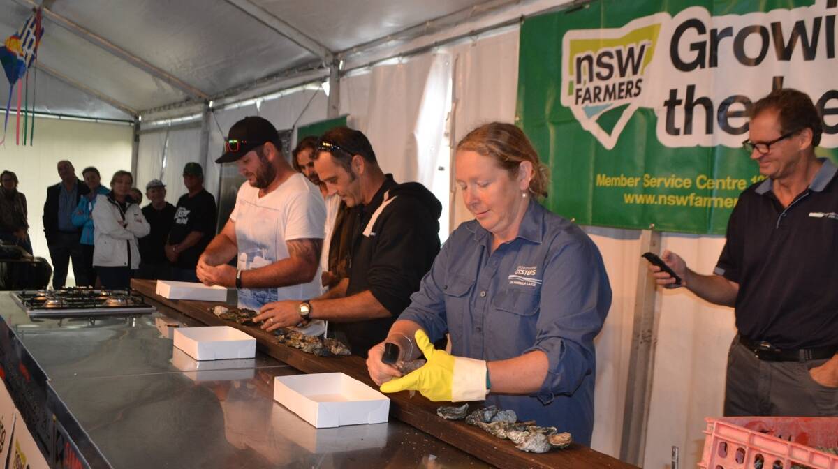 SHUCKERS: Silver medal winner Steven Connell competes against Nick Jean-Mairet of Kingfisher Marine and Automotive, who had never shucked before, and Pambula oyster grower Sue McIntyre at the NSW Farmers oyster shucking contest at the Narooma Oyster Festival. Photo Stan Gorton