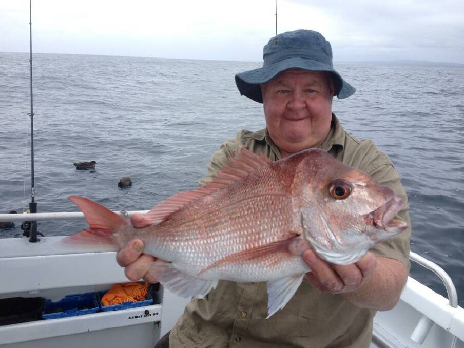 Catches from the Narooma area over the past week...