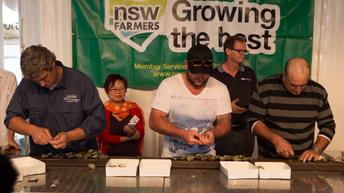 WINNER: The Narooma Oyster Festival Oyster NSW Farmers Shucking Competition was won by Batemans Bay oyster farmer Jim Yiannaros (far end), for the second year running. Silver medal winner was Steven Connell (middle). Photo Toby Whitelaw. 