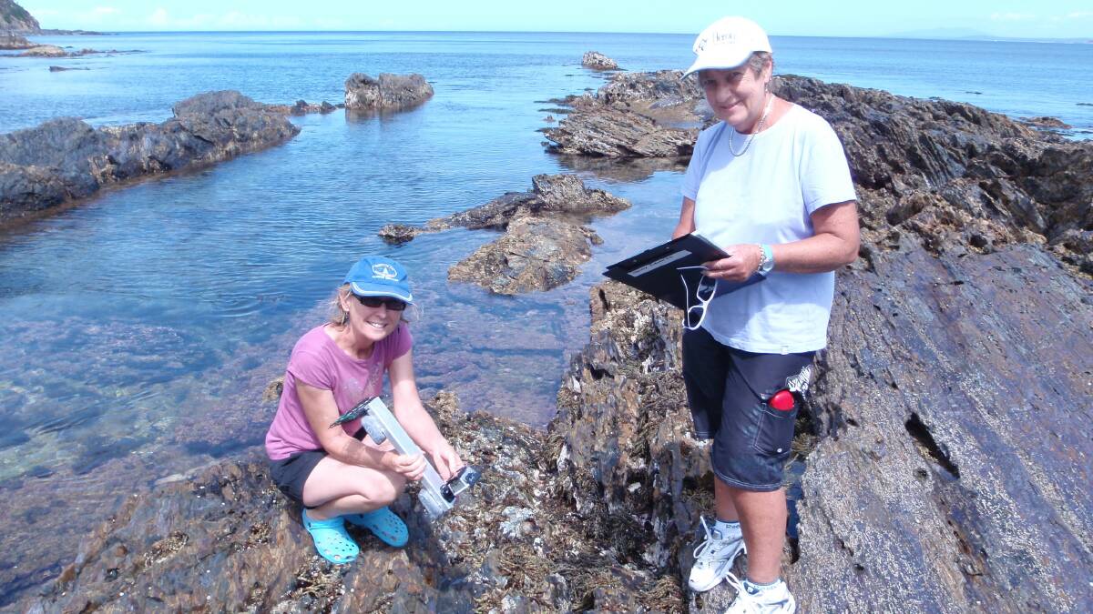 VOLUNTEER SCIENCE: Marie Sutton and Judy Baghurst work on one of the scientific projects being undertaken by the Nature Coast Marine Group.  