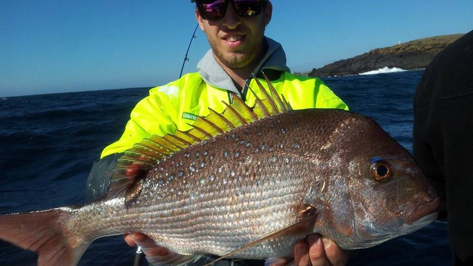 DESCENT SNAPPER: Matt from Sydney with a great snapper around 4kg caught on Nitro with Charter Fish Narooma on Saturday, and it was one of 20! 