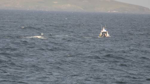 TOWING OUT: The Narooma Marine Rescue vessel heading south and towing out the overturned fishing boat.
