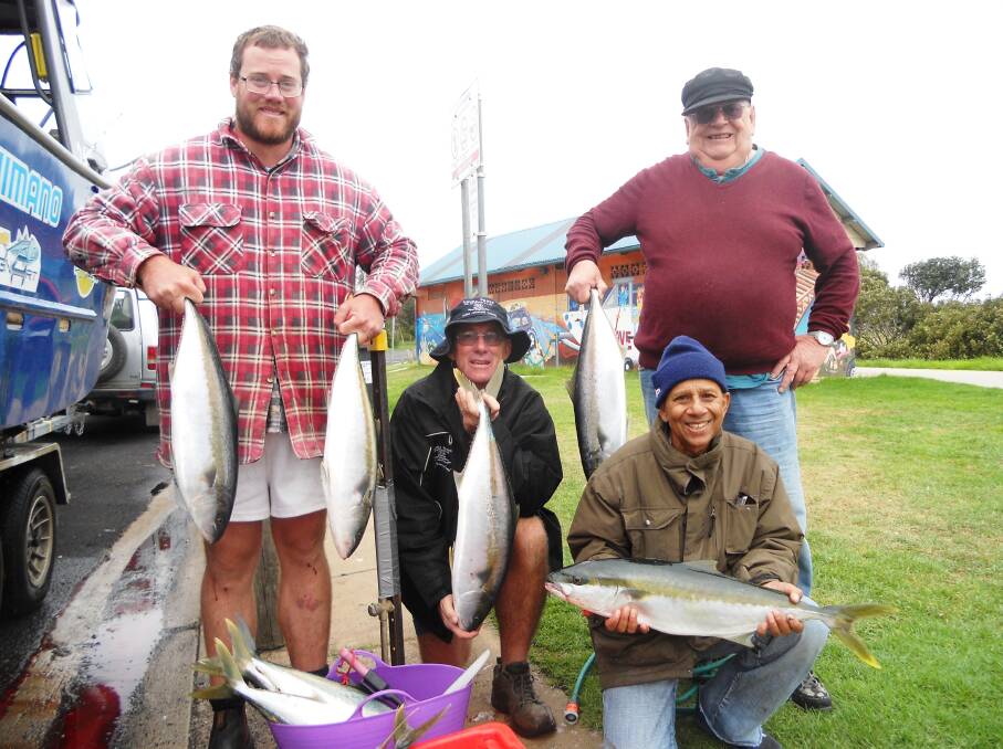 MONDAY KINGS: Terry and Sam from Leeton, and Joe and Tony from Canberra with a few of their 17 kingfish caught on Monday aboard 'Aquanaut' from Narooma Fishing Charters 