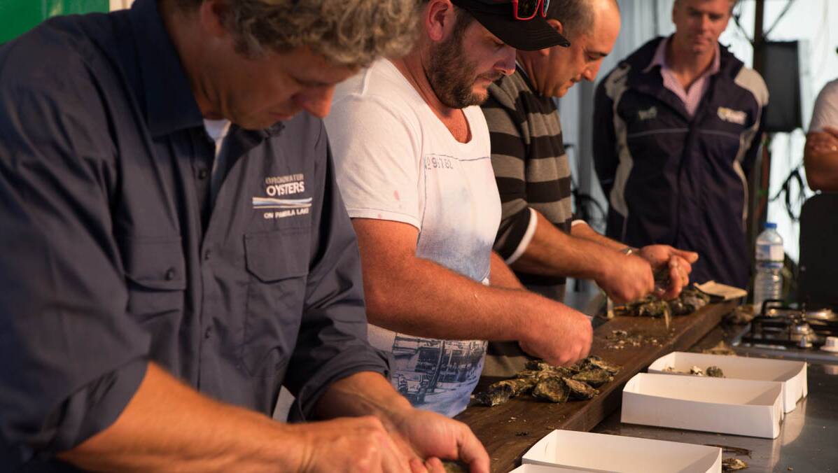 WINNER: The Narooma Oyster Festival NSW Farmers Oyster Shucking Competition was won by Batemans Bay oyster farmer Jim Yiannaros (far end), for the second year running. Silver medal winner was Steven Connell (middle). Photo Toby Whitelaw.
