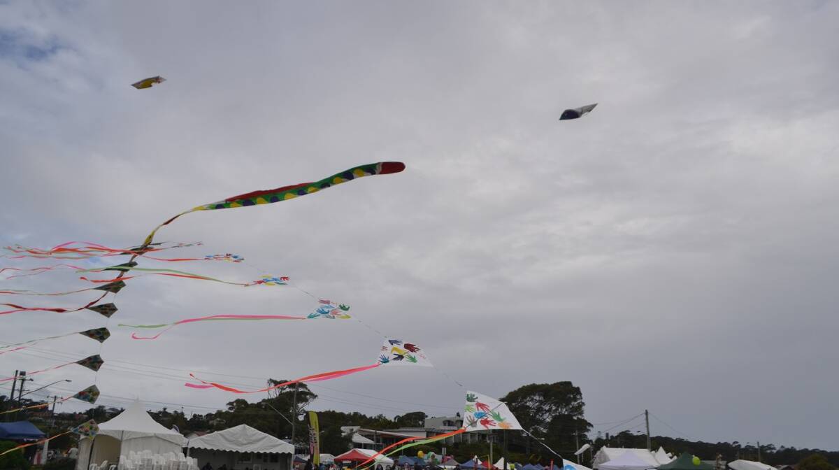 THE KITES: The kites made by Narooma Oyster Festival art director Judy Glover looked fantastic. Photo Stan Gorton