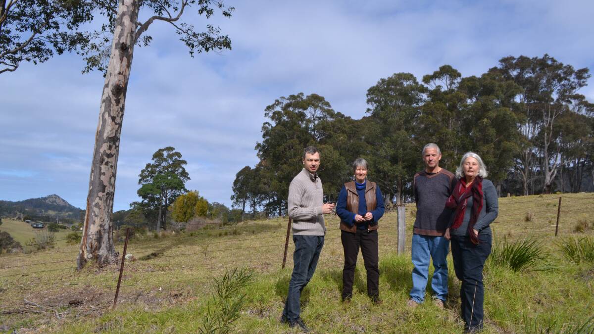 Photos of the proposed NBN fixed wireless tower at Central Tilba