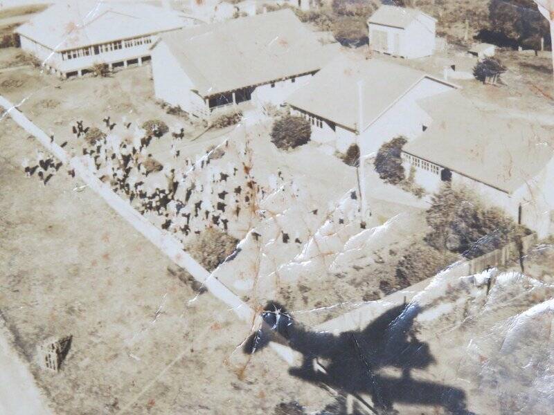 AERIAL PHOTO: This aerial photo was taken of Narooma Public School in 1940s and shadow of the plane quite visible in the foreground. 
