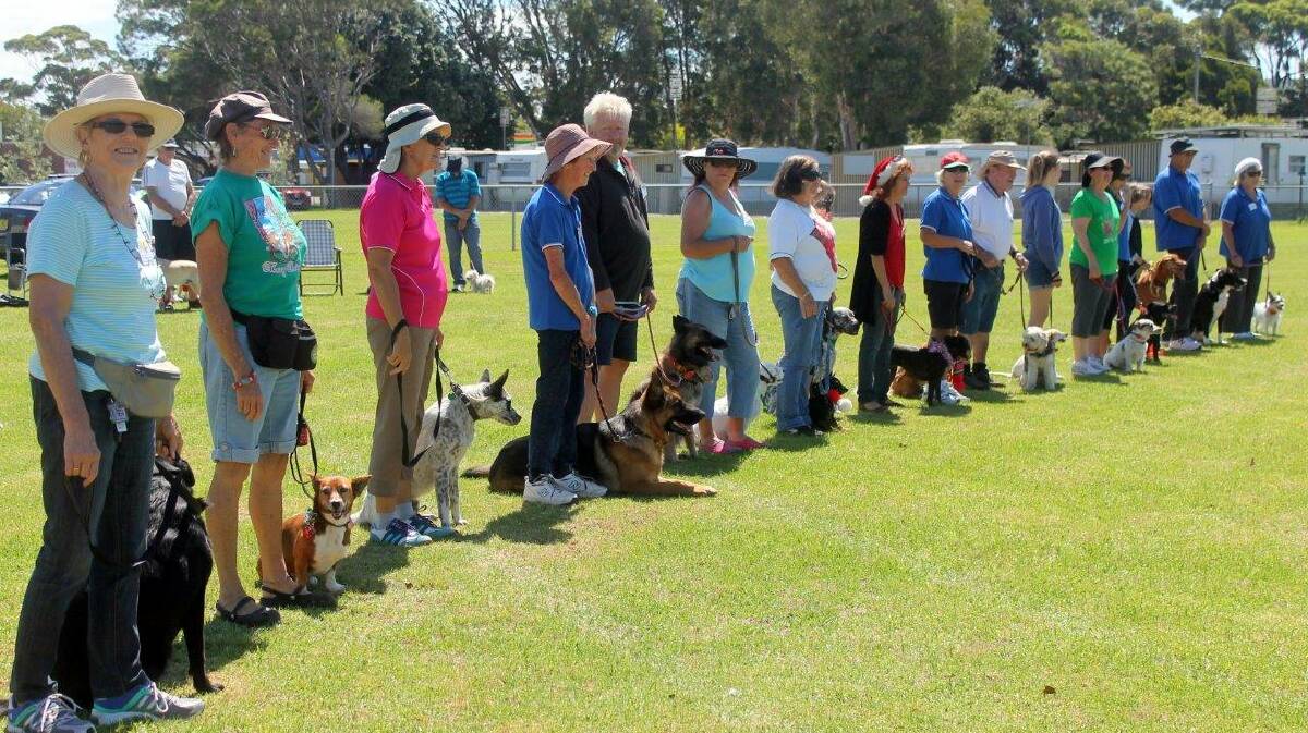 NATA Oval being used for dog training