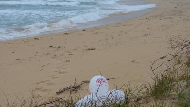 BALLOON POLLUTION: The balloons from an Albury football match were found on a Bermagui beach the next day. 