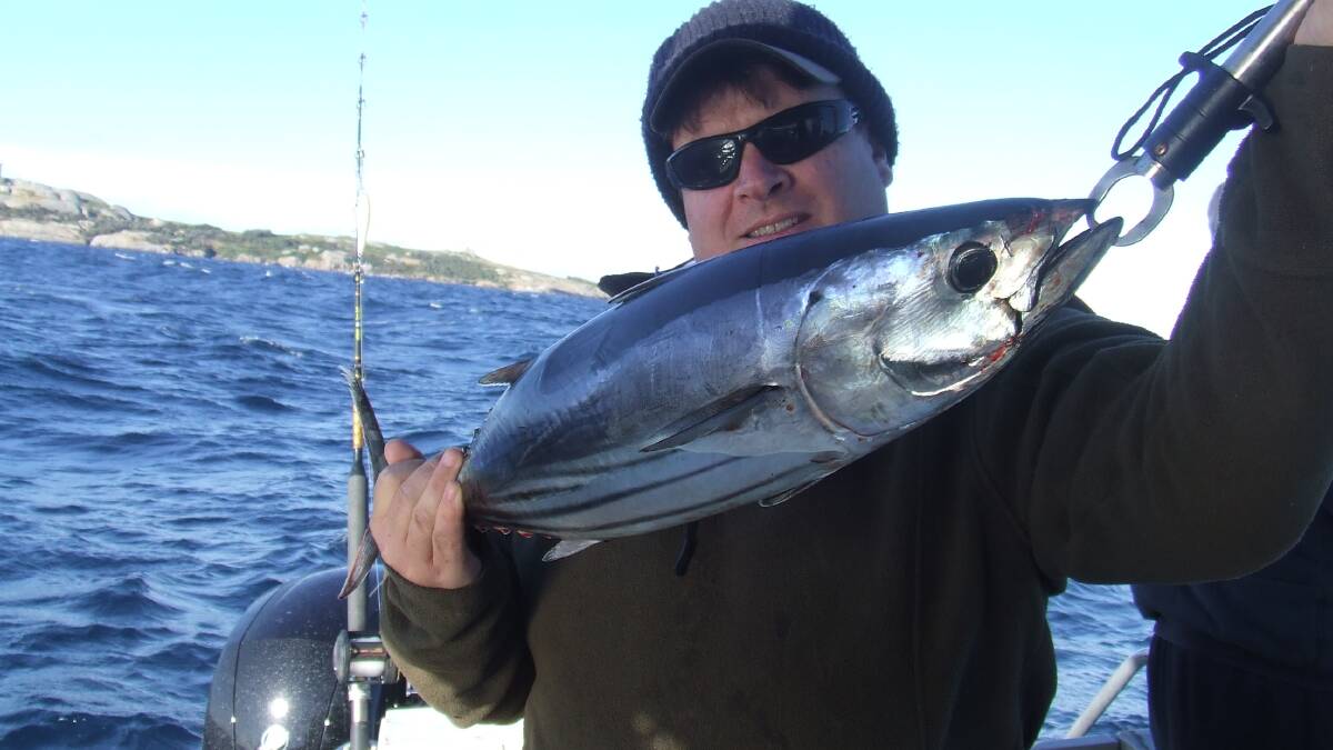 All the catches from the Narooma area for the week...