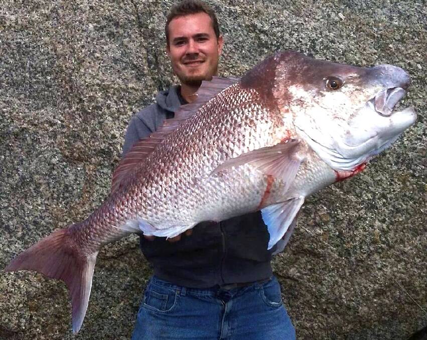 ROCK RECORD: Albany local Nathan Brown landed this monster snapper while fishing with mates on April 5. The snapper measured 112cm and weighed in at almost 16kg, just shy of the 18.4kg record.