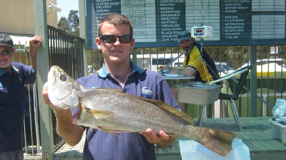 TUROSS JEWIE: Sam Hicks with a nice jewfish that was weighed in at the Tuross fishing club last week.