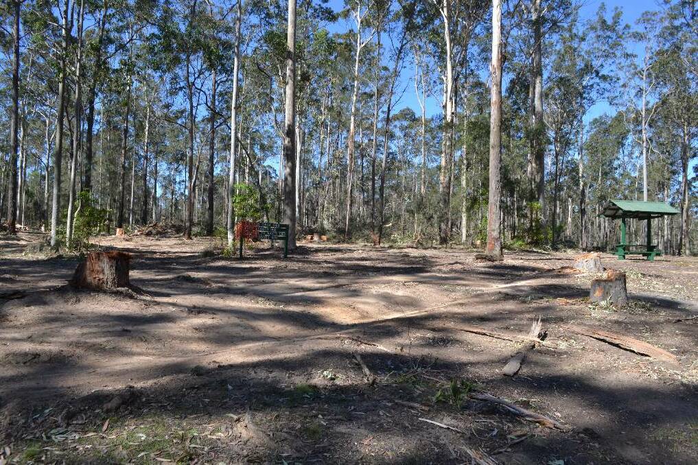 The Bodalla Forest rest area after logging by Forests NSW.