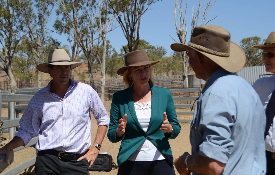 Farmer Tom Woolaston at the Somerton Feedlot with Minister for Primary Industries Katrina Hodgkinson and member for Tamworth, Kevin Anderson.