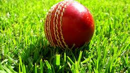 Cricket Australia releases MyCricket App