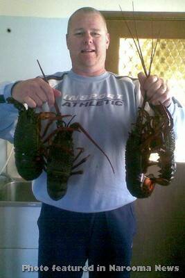 LOBSTER CATCH: After not having any photos sent in for some weeks, here is local Mark “Ziggy” Zielinski with the lobsters he and a diving buddy got earlier this week. Now is a great time to go for lobster if you can brave the cold water. 