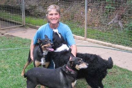 PARADISE POINT: Heather Ferguson with some of her vacation pooches at Paradise Point Pet Lodge.