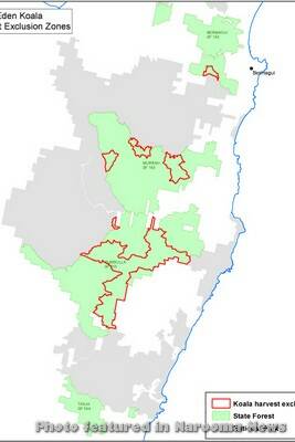 KOALA EXCLUSION: Logging will no longer be allowed within these red koala protections zones inside the Bermagui, Murrah and Mumbulla state forests.