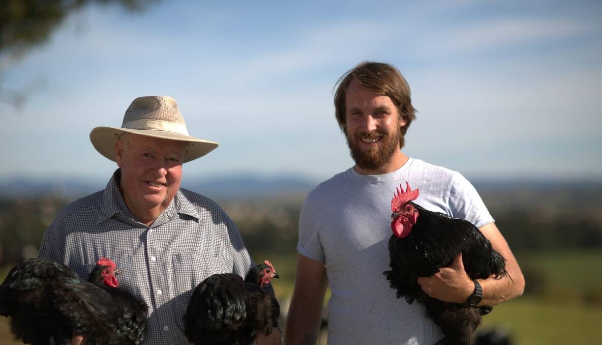 CHICKEN FANCIER: River Cottage Australia host Paul West turns to Bega poultry fancier of great renown Peter Ubriehen to get some more chickens. 'Courtesy Foxtel/The LifeStyle Channel'