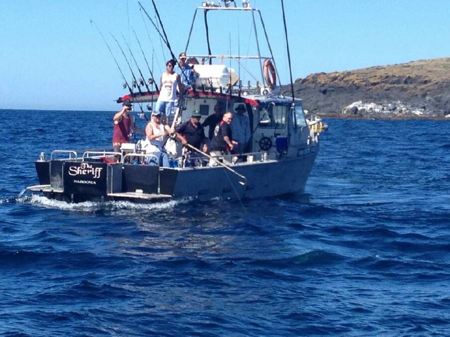 FISH ON: The charter boat The Sheriff hooked up to a marlin at Montague Island on Friday when the big fish took a hooked kingfish just off the north end, creating a spectacle for the large flotilla of boats to watch.    