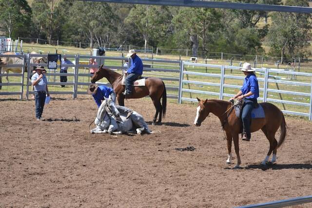 HORSE SHOW: Renowned horseman Wade Mathie of Bodalla and his team impress the crowd with their show of horse control.