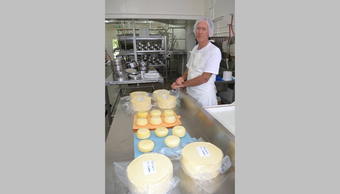 FIRST CHEDDAR: Master cheese maker Geoff Southam with the first batch of cheddar made from scratch at the ABC Cheese factory in more than three decades. 