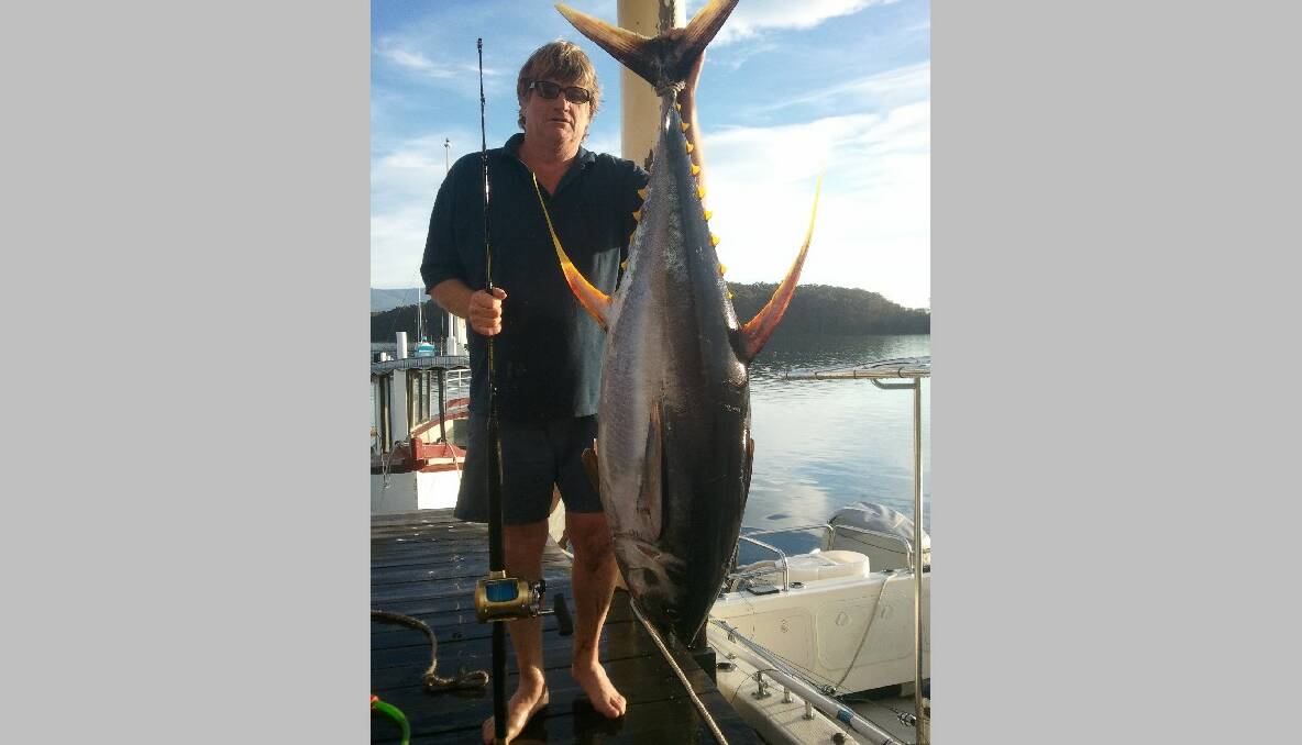 CLUB FIN: Narooma Sport and Gamefishing club member Ken Ribbons trolled wide of the Kink and hooked this 57kg yellowfin. 