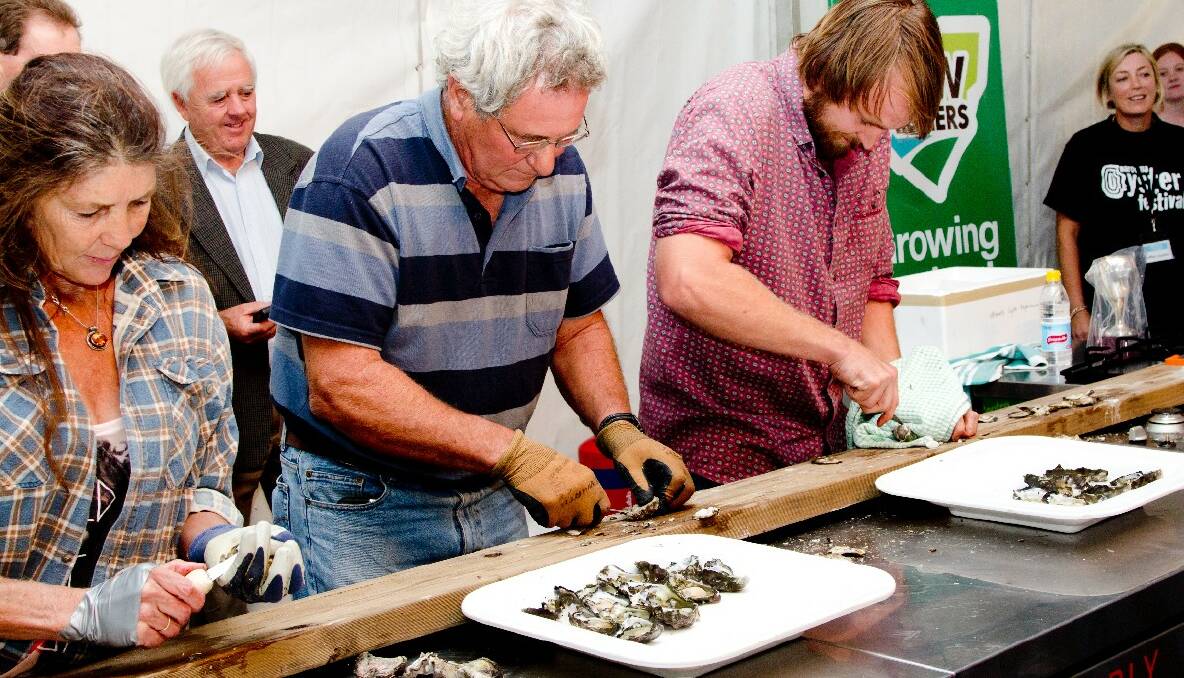 FIRST HEAT: Bodalla’s Cheryl Colburn and Narooma oyster grower David Maidment take on River Cottage Australia host Paul West in the first heat of the Narooma Oyster Festival shucking contest. Photo by Warren Purnell of Over U Photography 
