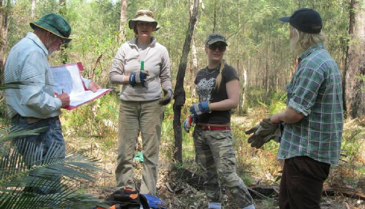 PLOT SURVEY: Koala survey volunteers Keith Joliffe, Sophie Hall-Aspland, Kahli Beissner and Daniel Baumann in the bush finalising a data sheet after a plot survey. 