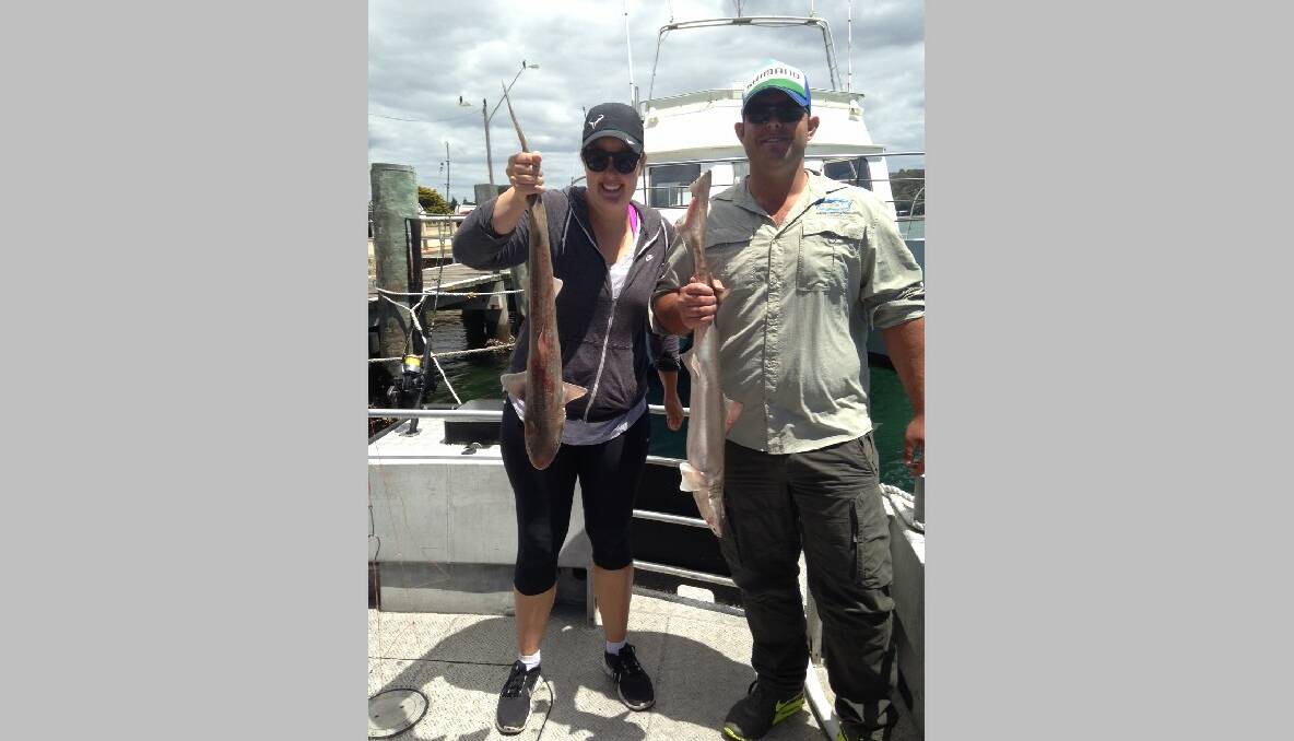 GUMMY COUPLE: Kathleen and David from Canberra went out off Tuross with the Sheriff on Saturday bringing a couple of gummy shark.  