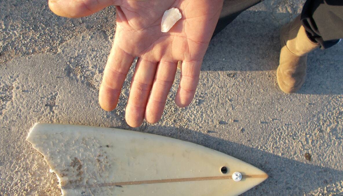 BOARD EVIDENCE: Fisherman Greg White of Melbourne with a shard of what Ben’s supporters think is large shark tooth embedded in the board. 