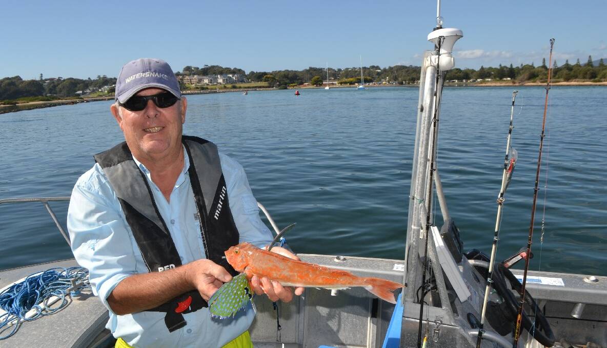 HARRY FISH: Narooma fisherman Harry de Haas with a very colourful butterfly gurnard he caught on Australia Day. 