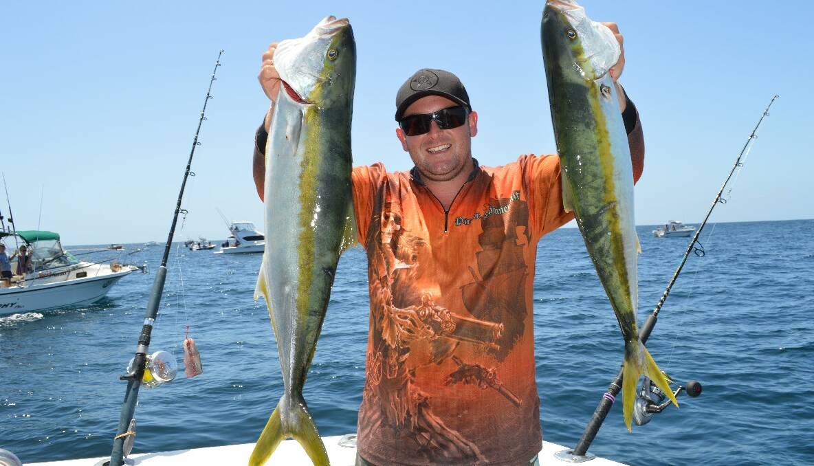 LIGHTHOUSE KINGS: Daniel “Patto” Paterson with a couple of nice Kingies caught with Wazza and Simon of Lighthouse Charters Narooma. 