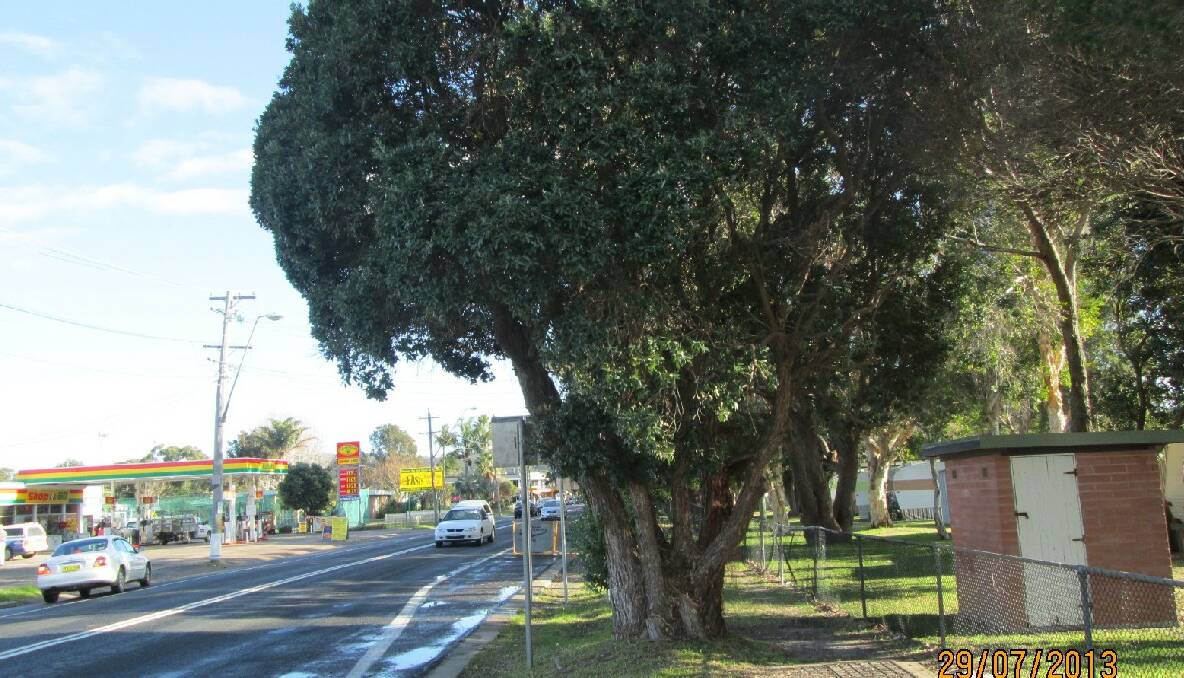 Narooma Visitors Centre: 1 New Zealand Christmas Bush and 1 Callistemon which are restricting the visibility of the Narooma Visitors Centre and are in the way of planned new street lighting. 
