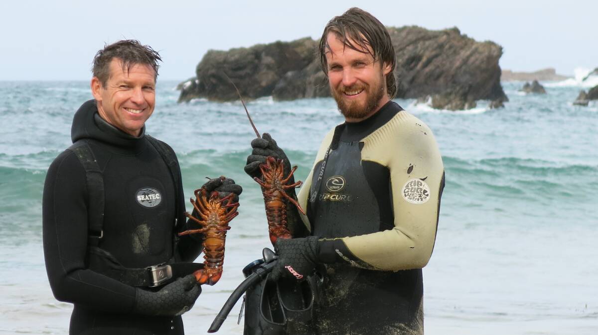 LOBSTER TIME: Lobster expert David Crass takes host Paul West diving for lobster at a secret location not far from the River Cottage Australia farm. 'Courtesy Foxtel/The LifeStyle Channel'
