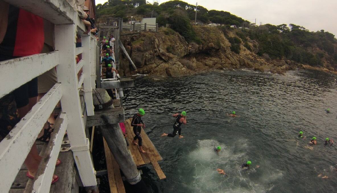 JUMPING OFF: The swimmers jump off the Tathra Wharf to get to the start line. 