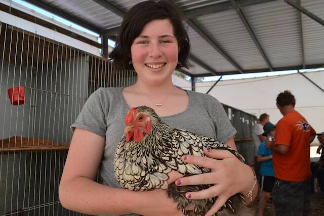FIRST PLACE: Georgia Burgess of Bega and her silver-laced Wyandotte chicken that won First Junior Soft Feather Large Fowl Female.