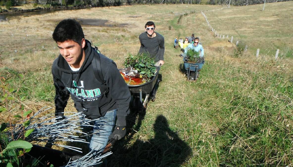 IN THE FIELD: Students volunteering at The Crossing Josh Chazaro, Max Jackson and Sarah Ramthun wheel new plants to the creek. 