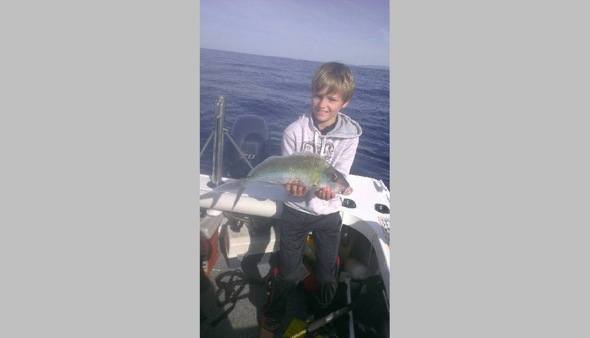 BRANDON’S MOWIE: Brandon Feledyk caught and released this morwong at Montague island on Saturday. 