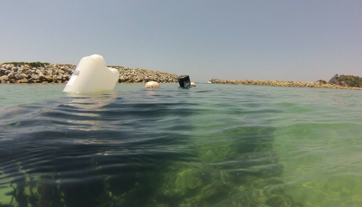 TEMPORARY BUOYS: Council has installed temporary buoys to keep the Narooma shark net afloat.
