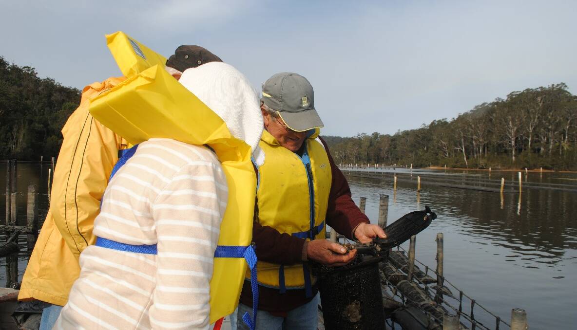 ON TOUR: Oyster growers lead local landowners on a tour of Narooma's Wagonga Inlet on Saturday.
