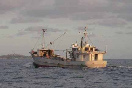 LONG LINER: The Fisco II heads out from Narooma to catch next week's supply of fresh fish.