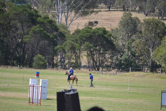 HORSE SHOW: Renowned horseman Wade Mathie of Bodalla and his team impress the crowd with their show of horse control.