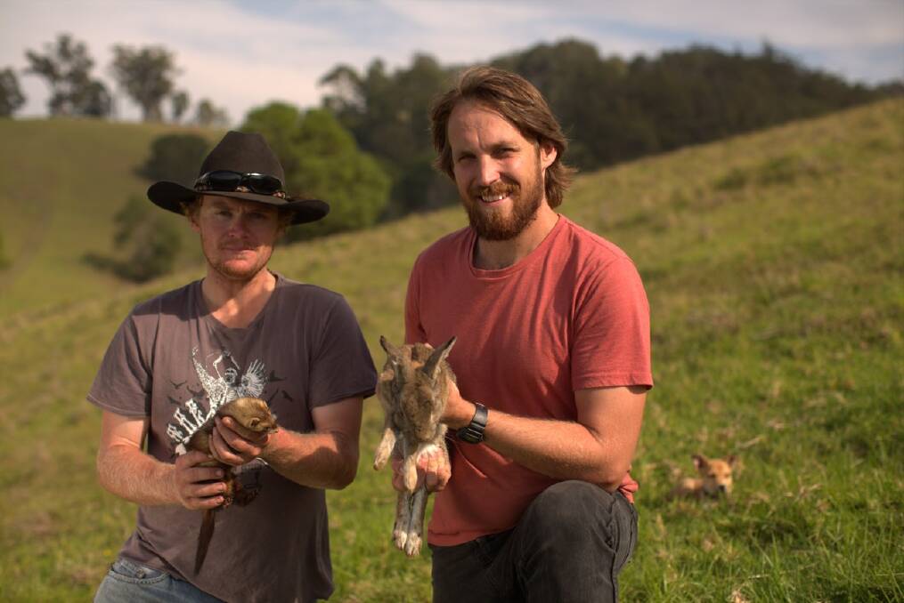 RABBIT HUNTING: Tilba local Charles Lucas takes River Cottage Australia host Paul West hunting on the Tilba hills for rabbits using ferrets.