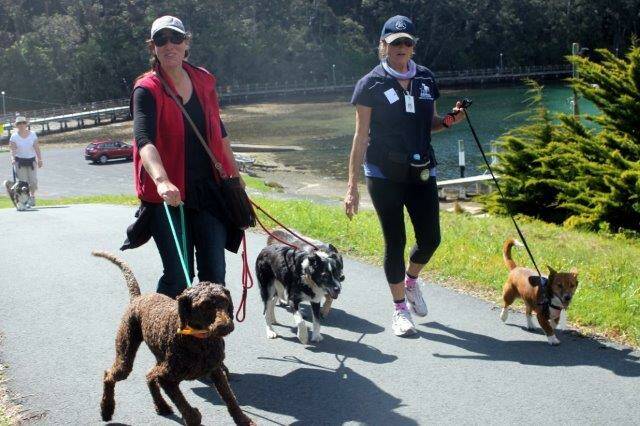 Jo Knowles and Heather Ferguson with their charges enjoying the walk