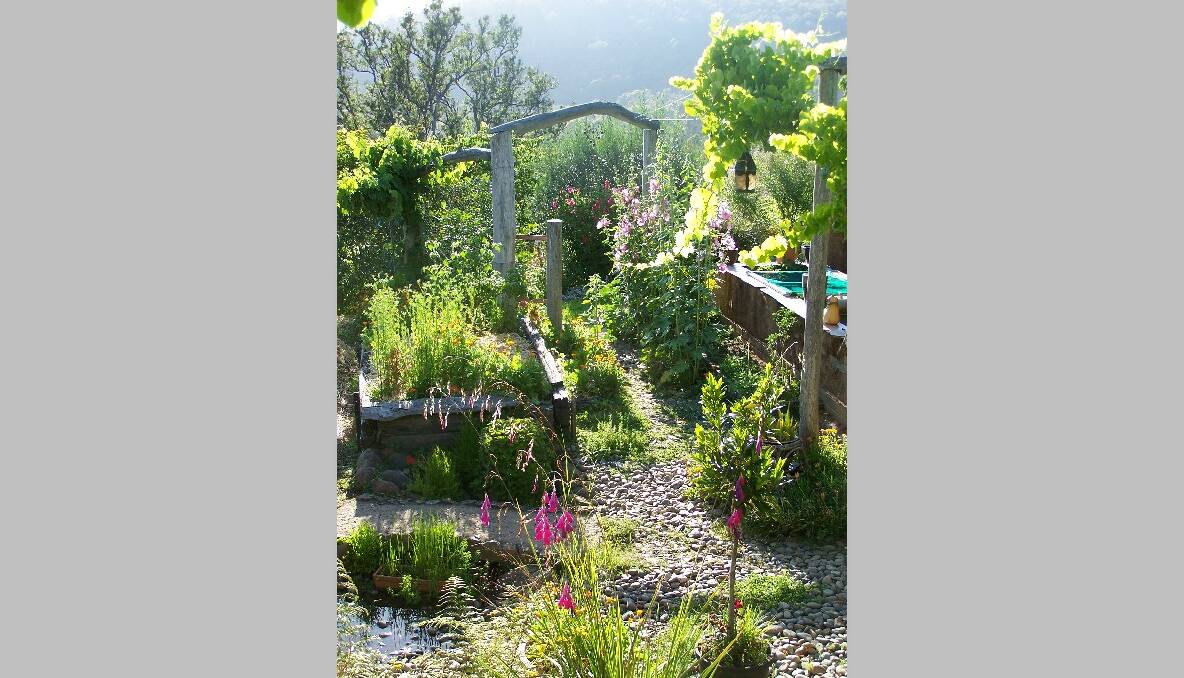 OPEN GARDEN: Brogo Permaculture Gardens are open to the public on Saturday.