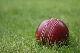 THE Southern Eurobodalla Cricket Club's A and B Grades returned to the field on Saturday with mixed results. 