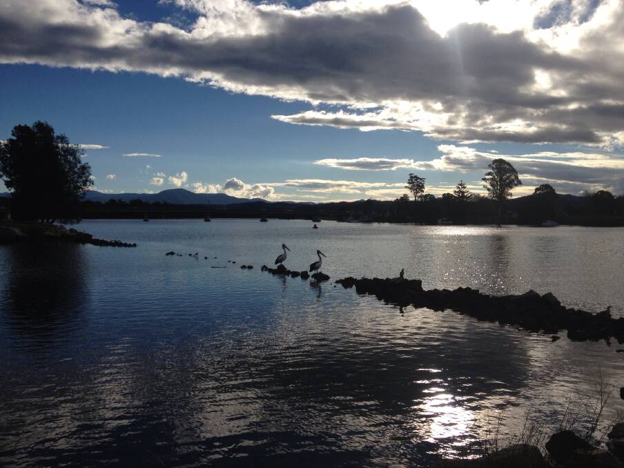   Cathie Cahill took this lovely shot of Riverside Park, Moruya.