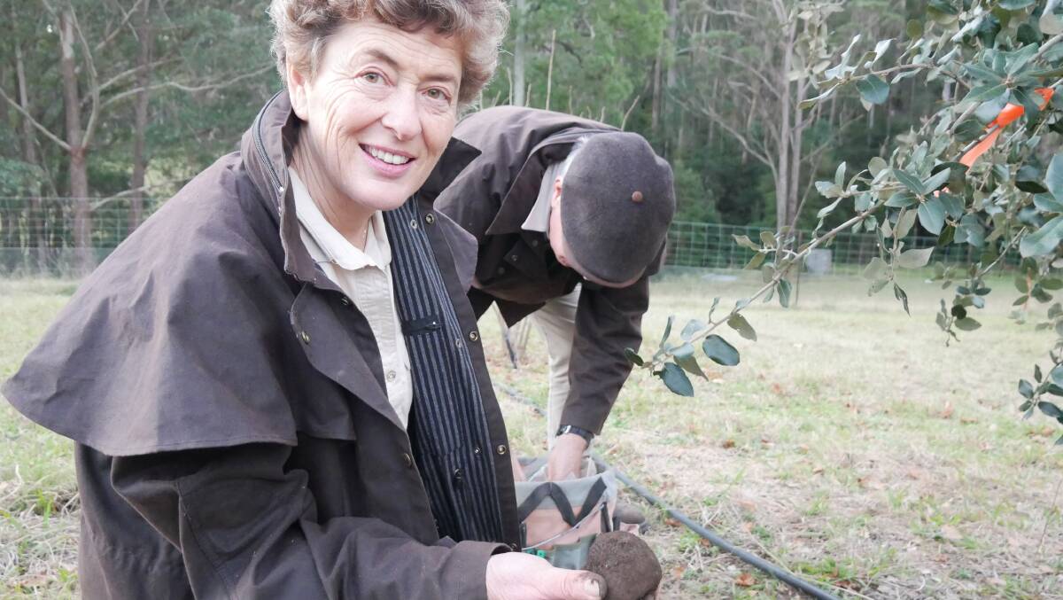 Ms Kotvojs holds up a freshly harvested truffle that has just been dug up from the ground. 